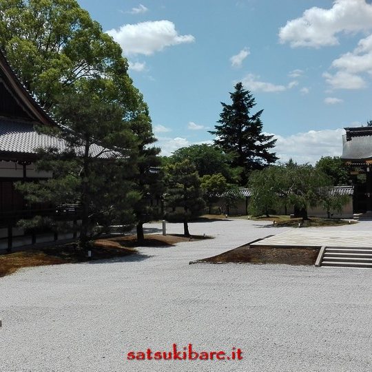 https://www.satsukibare.it/wp-content/uploads/2017/08/IMG_20170604_105440-540x540.jpg