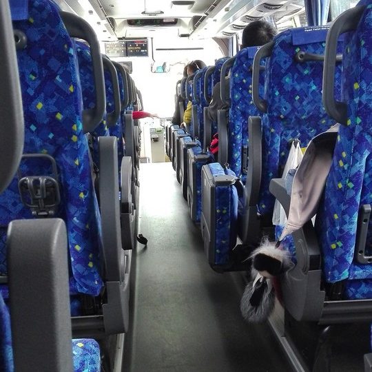 https://www.satsukibare.it/wp-content/uploads/2017/08/IMG_20170606_131457-540x540.jpg