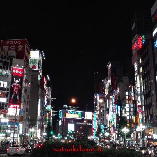 https://www.satsukibare.it/wp-content/uploads/2017/08/IMG_20170607_221323-540x539.jpg