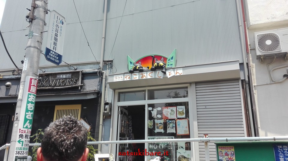 https://www.satsukibare.it/wp-content/uploads/2017/08/IMG_20170610_112947.jpg