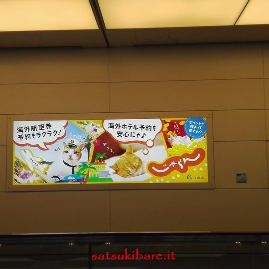 https://www.satsukibare.it/wp-content/uploads/2017/08/IMG_20170613_131917-540x539.jpg
