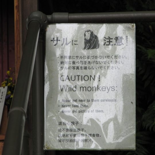 https://www.satsukibare.it/wp-content/uploads/2017/08/IMG_7870-540x540.jpg
