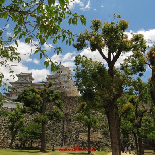 https://www.satsukibare.it/wp-content/uploads/2017/08/IMG_8263-540x540.jpg