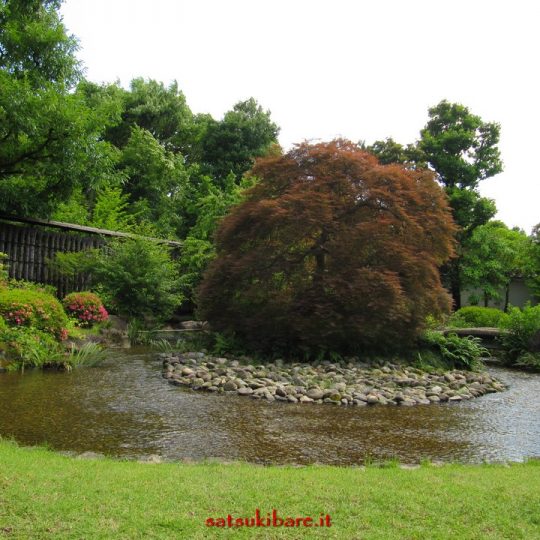 https://www.satsukibare.it/wp-content/uploads/2017/08/IMG_8368-540x540.jpg