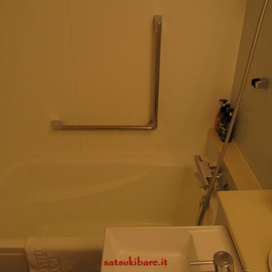 https://www.satsukibare.it/wp-content/uploads/2017/08/IMG_8408-540x540.jpg
