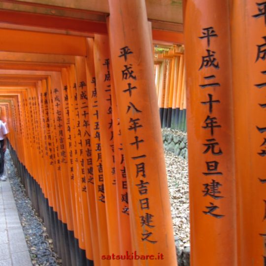 https://www.satsukibare.it/wp-content/uploads/2017/08/IMG_8437-540x540.jpg