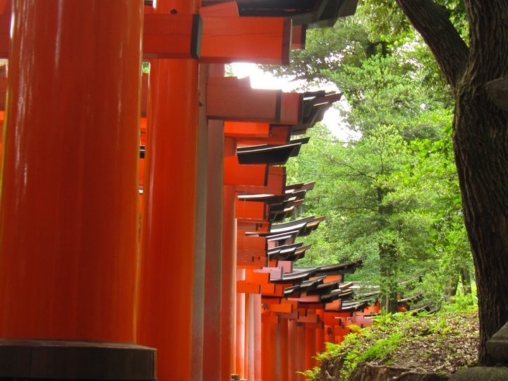 https://www.satsukibare.it/wp-content/uploads/2017/08/IMG_8449-720x540.jpg