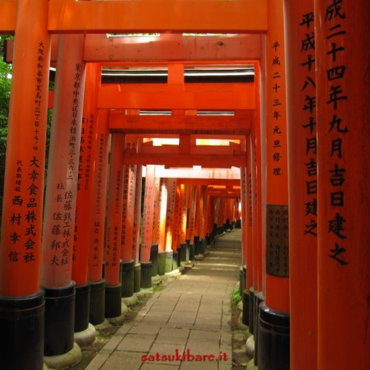 https://www.satsukibare.it/wp-content/uploads/2017/08/IMG_8497-540x540.jpg