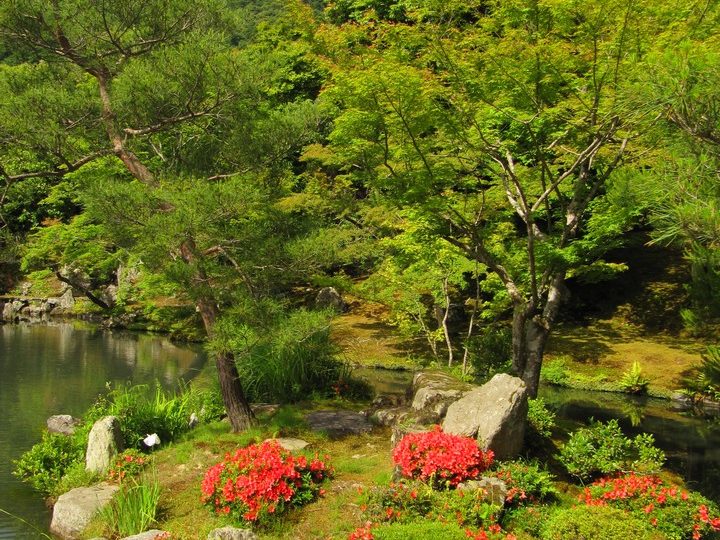 https://www.satsukibare.it/wp-content/uploads/2017/08/IMG_8715-720x540.jpg