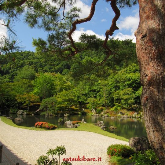 https://www.satsukibare.it/wp-content/uploads/2017/08/IMG_8717-540x540.jpg