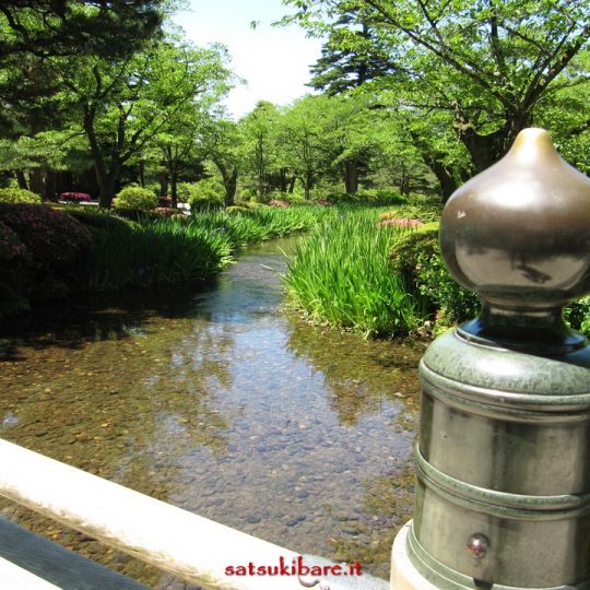 https://www.satsukibare.it/wp-content/uploads/2017/08/IMG_8959-540x540.jpg