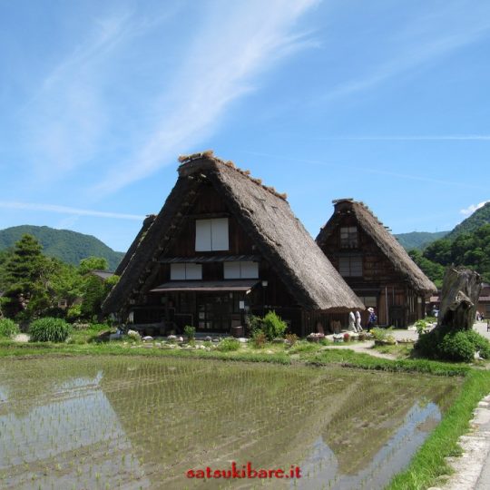 https://www.satsukibare.it/wp-content/uploads/2017/08/IMG_9131-540x540.jpg