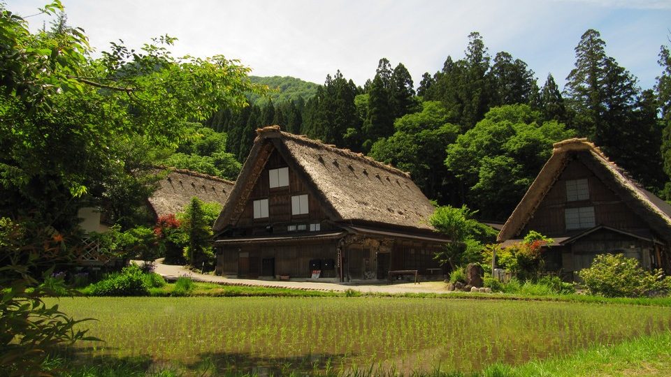 https://www.satsukibare.it/wp-content/uploads/2017/08/IMG_9187-960x540.jpg