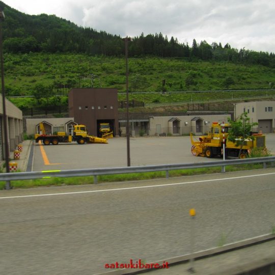 https://www.satsukibare.it/wp-content/uploads/2017/08/IMG_9241-540x540.jpg