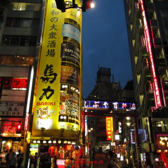 https://www.satsukibare.it/wp-content/uploads/2017/08/IMG_9408-540x540.jpg