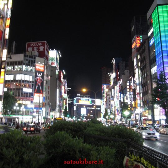 https://www.satsukibare.it/wp-content/uploads/2017/08/IMG_9430-540x540.jpg