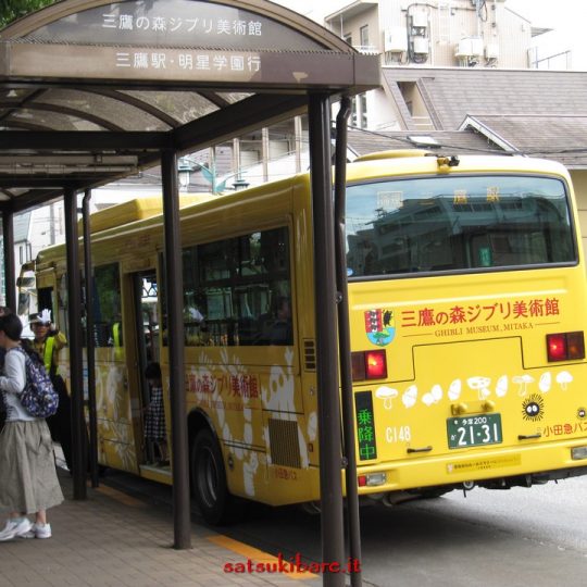 https://www.satsukibare.it/wp-content/uploads/2017/08/IMG_9432-540x540.jpg