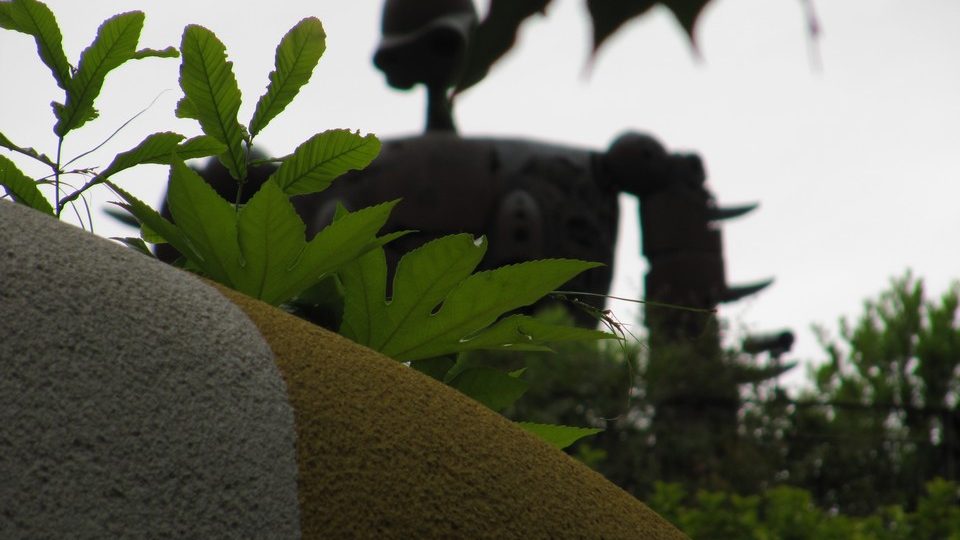 https://www.satsukibare.it/wp-content/uploads/2017/08/IMG_9433-960x540.jpg