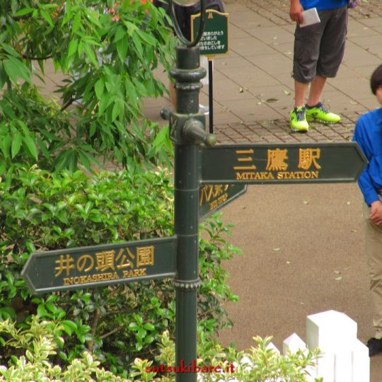 https://www.satsukibare.it/wp-content/uploads/2017/08/IMG_9462-540x540.jpg