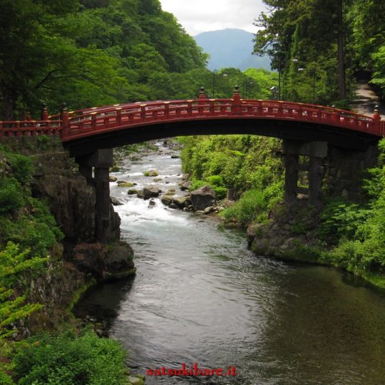 https://www.satsukibare.it/wp-content/uploads/2017/08/IMG_9584-540x540.jpg