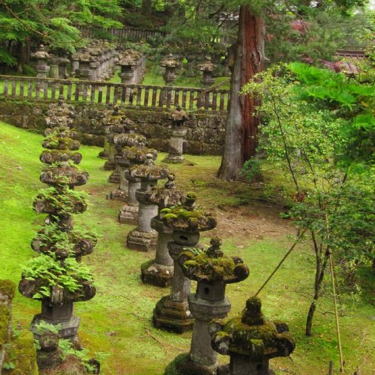 https://www.satsukibare.it/wp-content/uploads/2017/08/IMG_9727-540x540.jpg
