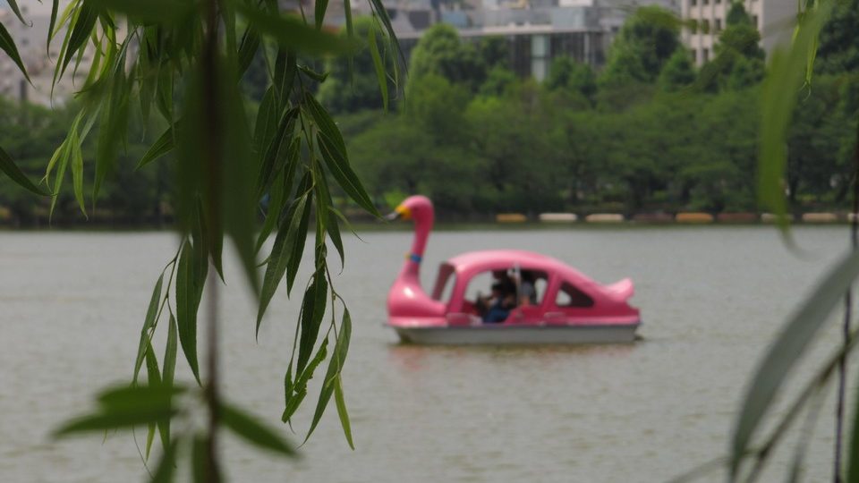 https://www.satsukibare.it/wp-content/uploads/2017/08/IMG_9778-960x540.jpg