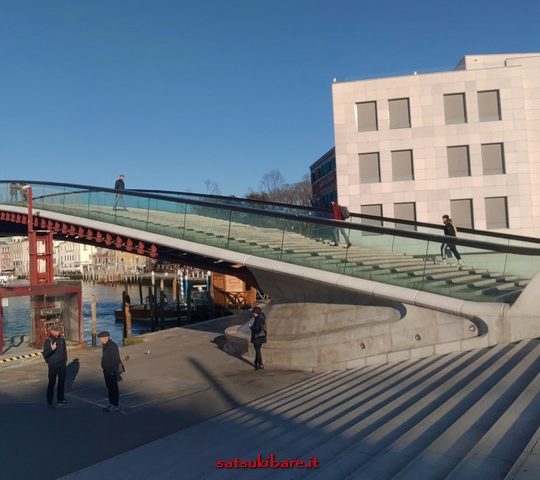 https://www.satsukibare.it/wp-content/uploads/2020/04/P_20200308_163019-540x480.jpg